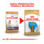 Royal Canin Puppy Cocker pienso para perros, , large indicador imagen numero 3